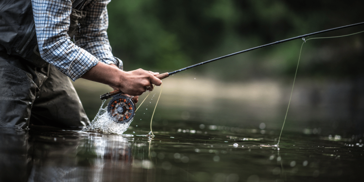 8 Best Titanium Fishing Rods in 2026