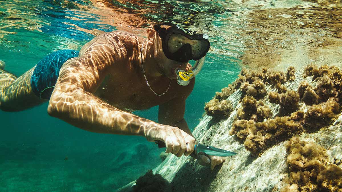8 Best Titanium Diving Knives in 2026