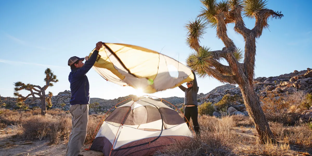 8 Best Titanium Camping Stakes in 2026