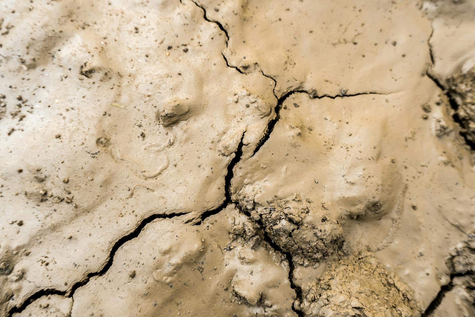 Can Titanium Crack? Causes, Signs and How to Prevent Cracking — 2026 Guide